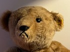 Vintage Steiff Teddy Bear     Original Button     Mohair     1950s   1960s