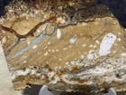Large Owyhee Ocean Picture Jasper Slab  Lot  280