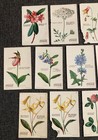 Lot Of 18 Wild Flowers Of America Vintage Cards - Coca Cola Rare - Near Full Set