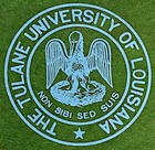 Vintage 1970s Tulane University Green Wave Football Pennant  Wow 