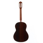 Yamaha Gc42s Natural  hino36a 
