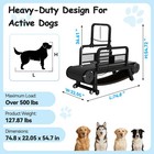 Dog Treadmill For Large Dogs  Dog Treadmill For Medium Dogs Tread