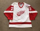 Nike Detroit Red Wings Hockey Jersey Darren Mccarty 