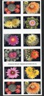 U s  2-sided Bklt Pane Of 20 Scott 5359b 2019 Forever Cactus Flowers Counterfeit