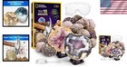 National Geographic 15 Geodes Break Open Crystal Science Kit For Kids Goggles