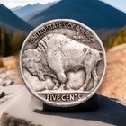 1929-p Full Date Buffalo Nickel Fast Free Shipping W  Tracking