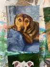 Custom Pet Portrait 8x10        Hand-painted Acrylic Pet Painting From Your Photo