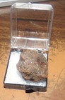 20 Gm Sericho Pallasite Meteorite Individual From Kenya Case Olivine Jal Top Gd