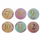 12 Pcs set Month Sticker Baby Photography Milestone Memorial Monthly Newborn Kid
