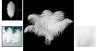 Luxurious 24pcs Natural White Ostrich Feathers For Elegant Crafts - 8-10 Inch