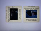 Snow Falling On Cedars Orig 35mm Movie Color Slide Transparency Lot Ethan Hawke