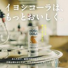 Iyo Cola Craft Cola 250ml 30 Cans   Made With Cola Nuts 7 Spices And Ginseng 