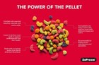 Zupreem Fruitblend Flavor Bird Food Diet For Medium Birds Cockatiels 2 Lbs 