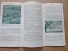 Aalsmeer The Flower Ceter Of Europe Netherlands Dutch Written In English 1950 s