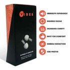 Vibes High Fidelity Earplugs Hi Fi Ear Plugs
