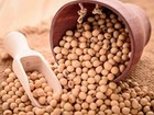 Bulk Vegan Soybeans  22lbs  Gluten Free  Great For Salad Sprouts Grown In Iowa  