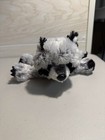 Ganz Webkinz Signature Racoon Hm143 Plush Toy New With Sealed Unused Code