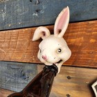 Rabbit Cast Iron Wall Mounted Bottle Opener With Antique Finish  5 5  X 3  