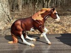 Breyer Web Special     slyder    Glossy Chestnut Pinto Hollywood Dun It Mold  Nib