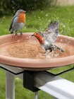 Bird Bath Copper Disk Pure Copper Water Cleaner For Outdoor Bird Bath Bowls