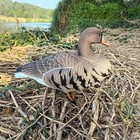 Goose Decoys Pack Of 6  Popular New Material Eva Collapsible Plastic Goose Hunti