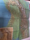 Vintage 1965   the Alps  Europe s Backbone Map By National Geographic Society