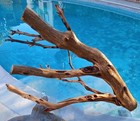 Large Driftwood Manzanita Aquascape Aquarium Terrarium Bonsai  25   17   17  