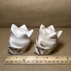 Salt pepper Shakes Set Of 2 Skeleton Crown Halloween With Plugs