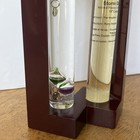 Indoor Cherry Weather Station Galileo Thermometer Hydrometer Storm Glass