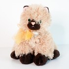 Ty Classic Cassidy Siamese Cat 2005 8  Plush No Ear Tag