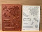 Stampin  Up  Awesomely Artistic Clear-mount Stamp Set - Brand New
