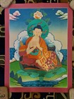 21  Nagarjuna Thangka Painting With Brocade