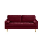 65  2-seater Velvet Sofa Plush Comfort  Modern Style For Living Room Red