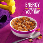 Kellogg s Raisin Bran Original Breakfast Cereal High Fiber Family Size 22 1 Oz