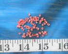   Lilac Shells   100  Deep Coral Red  vintage  Shellcraft   Sailor s Valentines 