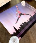 Original 1985 Nike Michael Air Jordan 1 Rookie Poster Chicago Skyline 29x24    Obo