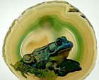 Sliced Brazil Agate With Picture Image Of Frog Toad 