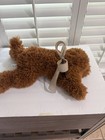 Fao Schwarz Doodle Plush Pups Dog Lcurly Fur 22  Stuffed Animal Brown Euc