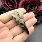2pcs 3d Crow Skull Halloween Men s Skull Necklace Pendant Magpie Gothic 61 25mm