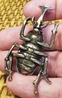 Shadowbox Miniature-tiny Chinese Brass  Beetle Figurine  1