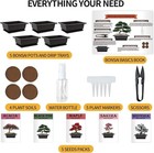 5 Bonsai Tree Kit  Complete Plant Growing Tools Gardening Potted Plants Diy Gift