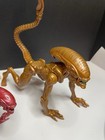 Alien Xenomorph Warriors And Runners Lot With Facehuggers Neca Egg Pod  Poseable