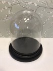 Glass Dome Display Case W  Wood Base 6 5  X 5 5 -in Box  2