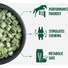 Standlee Premium Western Forage 40 Lb  Alfalfa   Timothy Cubes 1580-40101-0-0