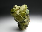   fine Pyromorphite - Mercur Mine  Bad Ems  Rhineland  Germany