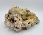 Natural White Coral Piece Ocean Reef Sea Decor Nature Aquarium 2 Lbs 6oz 7  Long