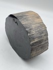 Full Bark 4    Thick Petrified Wood Limb cross Section   8   