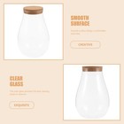 Table Centerpieces Diy Plants Glass Empty Bottle Hydroponic Decorative Vase