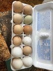 12 Barn Yard Mix Fertilized Chicken Hatching Eggs