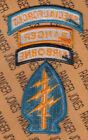 Us Army Special Forces Group Airborne Sfga Sf Ranger Top  5 5  Patch Tab M e Set